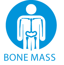 กระดูก (Bone Mass)